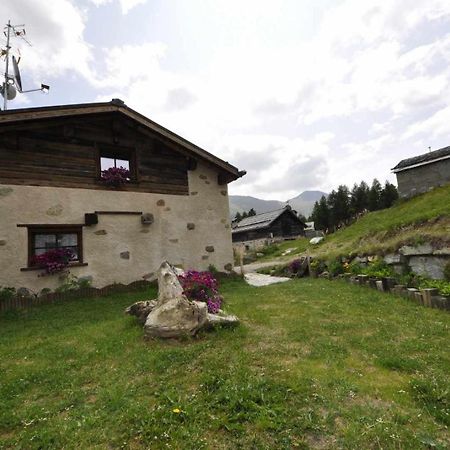Mountain Chalet Scoiattolo By Livigno Accomodation Екстер'єр фото