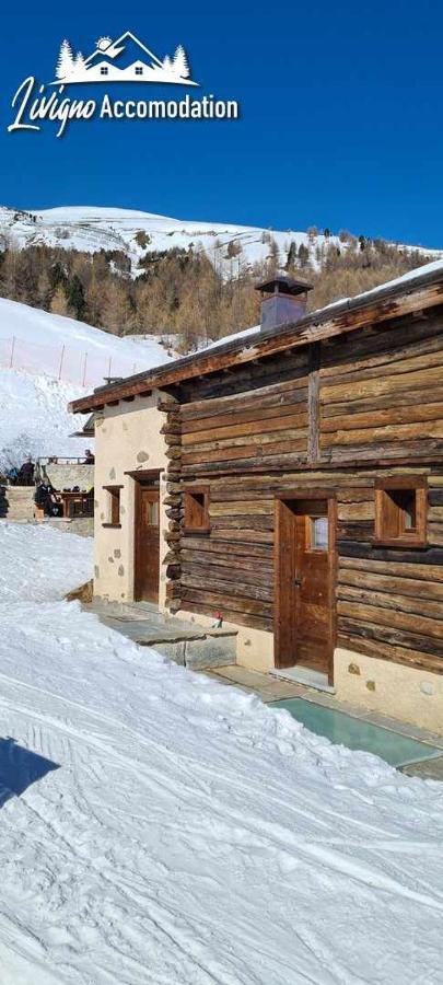 Mountain Chalet Scoiattolo By Livigno Accomodation Екстер'єр фото