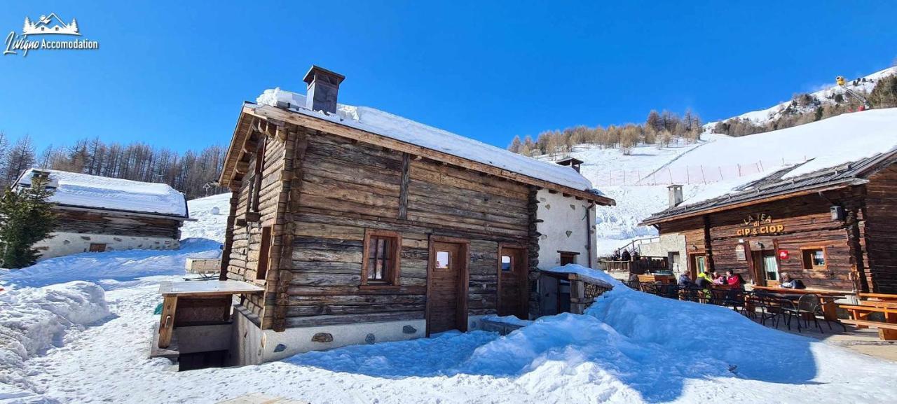 Mountain Chalet Scoiattolo By Livigno Accomodation Екстер'єр фото