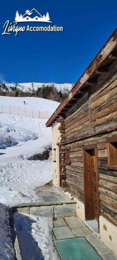Mountain Chalet Scoiattolo By Livigno Accomodation Екстер'єр фото