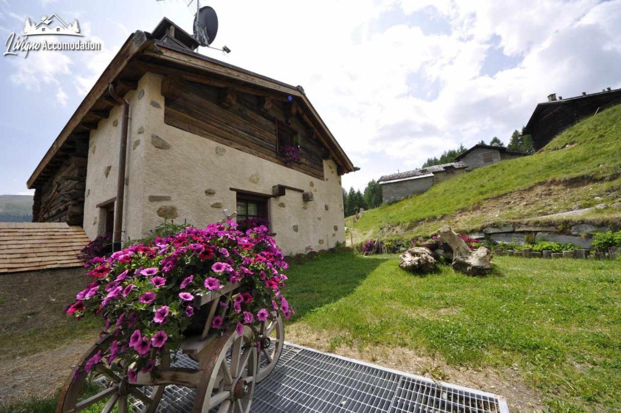 Mountain Chalet Scoiattolo By Livigno Accomodation Екстер'єр фото