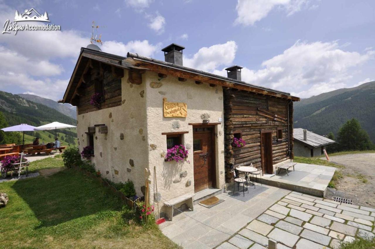 Mountain Chalet Scoiattolo By Livigno Accomodation Екстер'єр фото