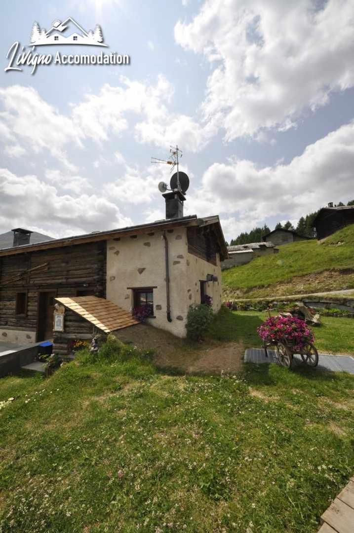 Mountain Chalet Scoiattolo By Livigno Accomodation Екстер'єр фото