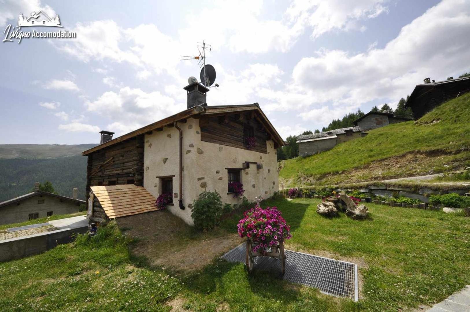 Mountain Chalet Scoiattolo By Livigno Accomodation Екстер'єр фото